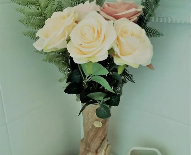 梅塞地住宿加早餐旅馆 博洛尼亚