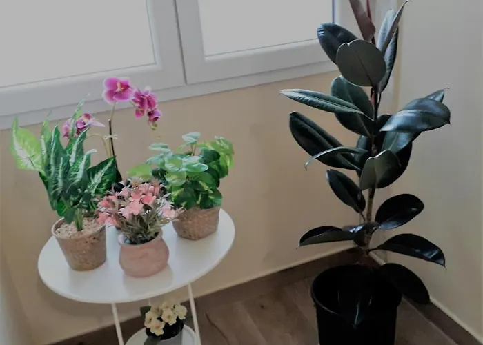 Mercedes ボローニャ