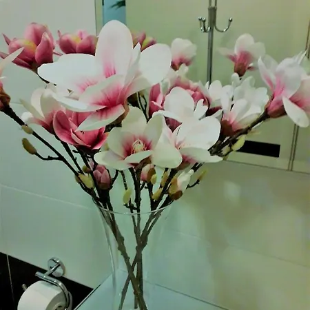 梅塞地住宿加早餐旅馆