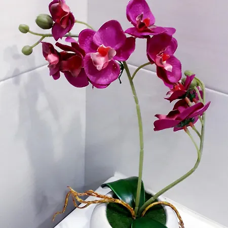 梅塞地住宿加早餐旅馆 3*