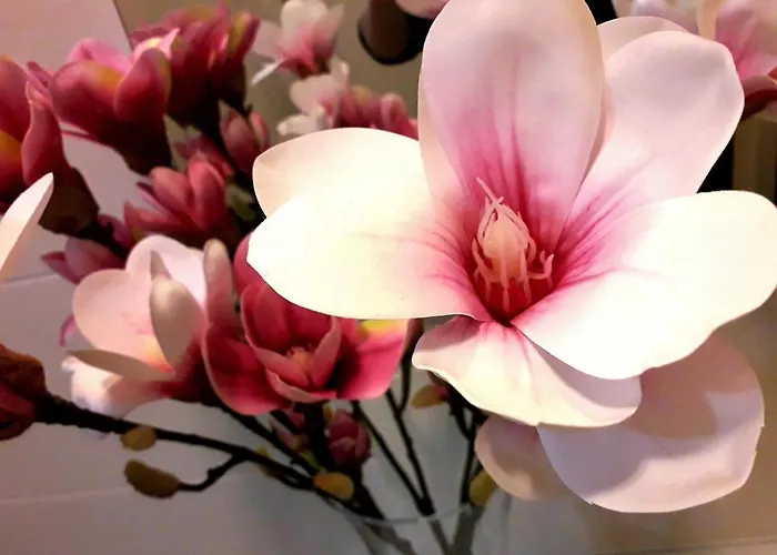 Mercedes ボローニャ