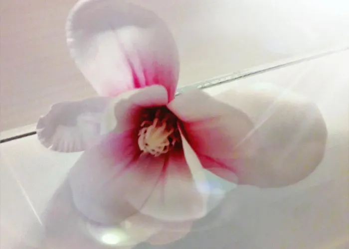 Bed & Breakfast Mercedes 3*