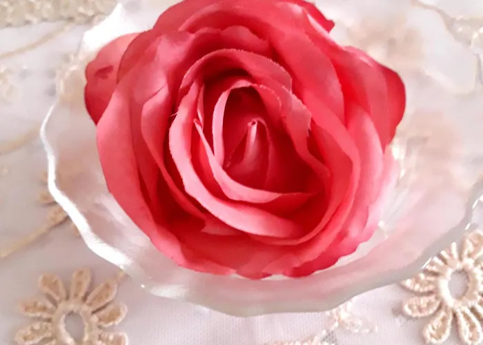 Mercedes Bed & Breakfast Bologna