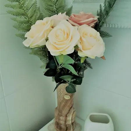 Mercedes بولونيا