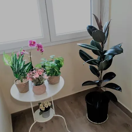 Mercedes بولونيا