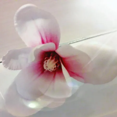 فندق مبيت وإفطار Mercedes 3*