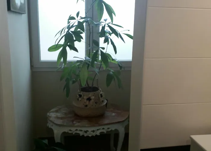 Mercedes Frühstückspension 3*